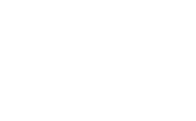 TripEver logo